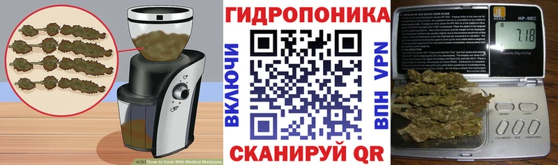 blacksprut зеркало  Дегтярск  площадка формула  купить наркотик  Печенье с ТГК марихуана 